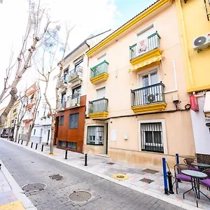 https://10tosea-francisco-cano.es-andalucia.com